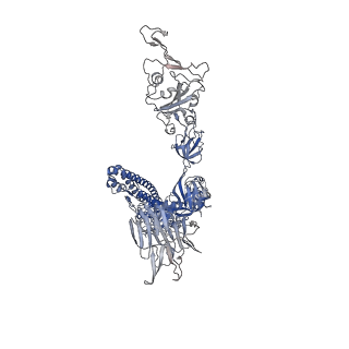 26267_7u0x_A_v1-1
SARS-Cov2 S protein structure in complex with neutralizing monoclonal antibody 002-13