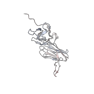 26267_7u0x_F_v1-1
SARS-Cov2 S protein structure in complex with neutralizing monoclonal antibody 002-13