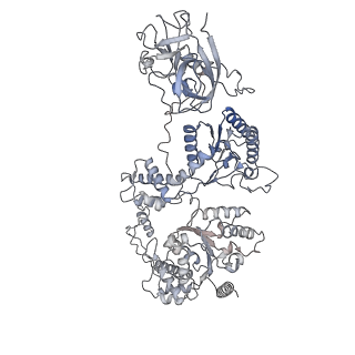 41788_8u0v_A_v1-1
S. cerevisiae Pex1/Pex6 with 1 mM ATP