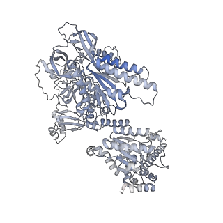 41788_8u0v_B_v1-1
S. cerevisiae Pex1/Pex6 with 1 mM ATP