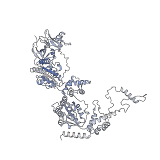 41788_8u0v_C_v1-1
S. cerevisiae Pex1/Pex6 with 1 mM ATP