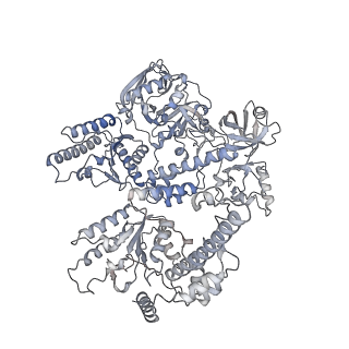 41788_8u0v_D_v1-1
S. cerevisiae Pex1/Pex6 with 1 mM ATP
