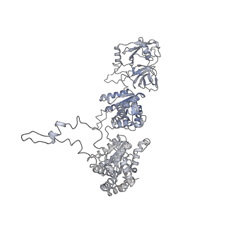 41788_8u0v_E_v1-1
S. cerevisiae Pex1/Pex6 with 1 mM ATP