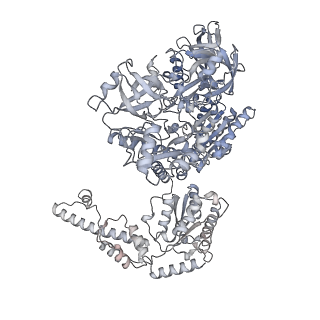 41788_8u0v_F_v1-1
S. cerevisiae Pex1/Pex6 with 1 mM ATP