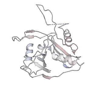 8478_5u0a_A_v1-4
CRISPR RNA-guided surveillance complex