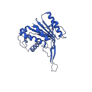 8478_5u0a_D_v1-3
CRISPR RNA-guided surveillance complex