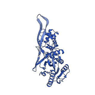 8478_5u0a_E_v1-4
CRISPR RNA-guided surveillance complex