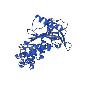 8478_5u0a_H_v1-4
CRISPR RNA-guided surveillance complex