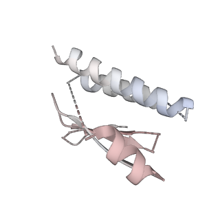 8479_5u0p_2_v1-3
Cryo-EM structure of the transcriptional Mediator