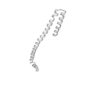 8479_5u0p_D_v1-4
Cryo-EM structure of the transcriptional Mediator