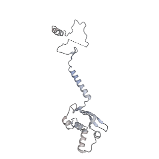 8479_5u0p_F_v1-3
Cryo-EM structure of the transcriptional Mediator