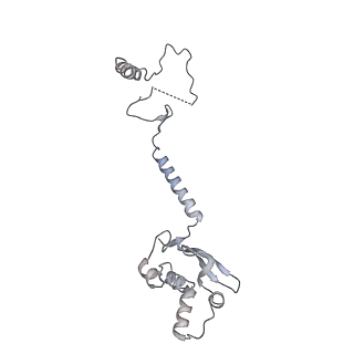 8479_5u0p_F_v1-4
Cryo-EM structure of the transcriptional Mediator