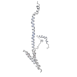 8479_5u0p_G_v1-4
Cryo-EM structure of the transcriptional Mediator