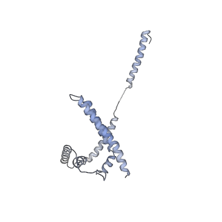 8479_5u0p_H_v1-3
Cryo-EM structure of the transcriptional Mediator