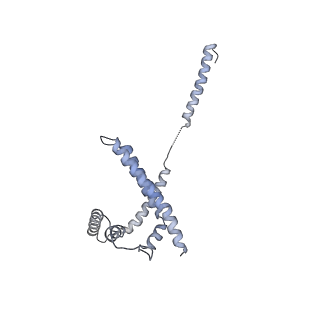 8479_5u0p_H_v1-4
Cryo-EM structure of the transcriptional Mediator