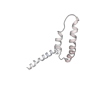 8479_5u0p_I_v1-3
Cryo-EM structure of the transcriptional Mediator