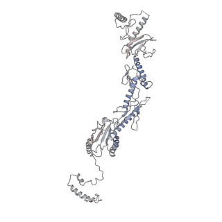 8479_5u0p_N_v1-3
Cryo-EM structure of the transcriptional Mediator