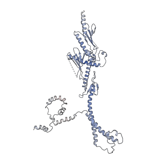 8479_5u0p_Q_v1-3
Cryo-EM structure of the transcriptional Mediator