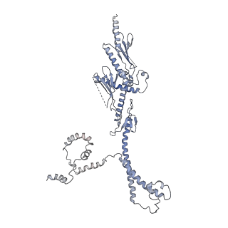 8479_5u0p_Q_v1-4
Cryo-EM structure of the transcriptional Mediator