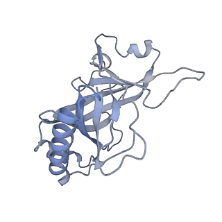 8479_5u0p_R_v1-3
Cryo-EM structure of the transcriptional Mediator