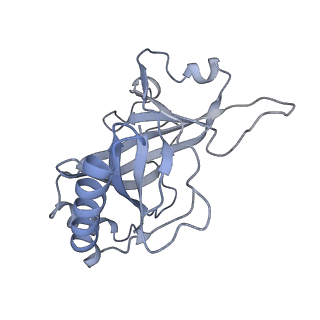 8479_5u0p_R_v1-4
Cryo-EM structure of the transcriptional Mediator