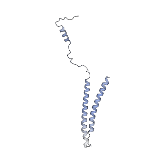 8479_5u0p_V_v1-3
Cryo-EM structure of the transcriptional Mediator