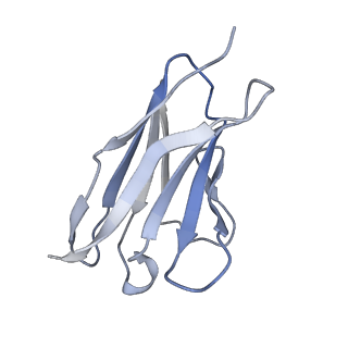 20612_6u1n_L_v1-2
GPCR-Beta arrestin structure in lipid bilayer