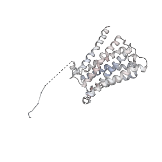 20612_6u1n_R_v1-2
GPCR-Beta arrestin structure in lipid bilayer