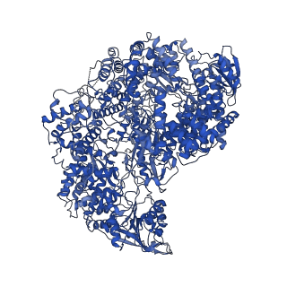 20614_6u1x_A_v1-0
Structure of the Vesicular Stomatitis Virus L Protein in Complex with Its Phosphoprotein Cofactor (3.0 A resolution)