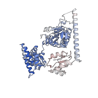 26297_7u19_A_v1-1
RFC:PCNA bound to nicked DNA