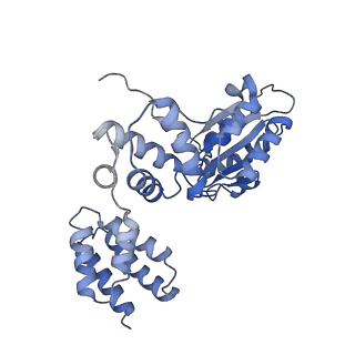 26297_7u19_B_v1-1
RFC:PCNA bound to nicked DNA