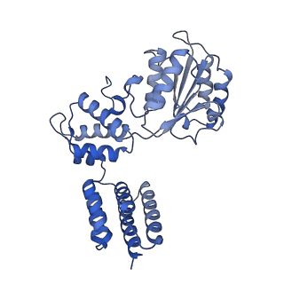 26297_7u19_C_v1-1
RFC:PCNA bound to nicked DNA