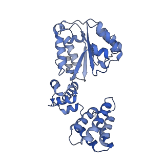 26297_7u19_D_v1-1
RFC:PCNA bound to nicked DNA