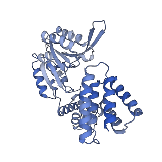 26297_7u19_E_v1-1
RFC:PCNA bound to nicked DNA