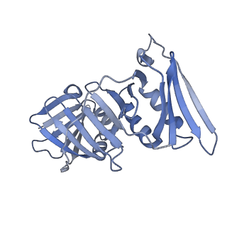 26297_7u19_F_v1-1
RFC:PCNA bound to nicked DNA