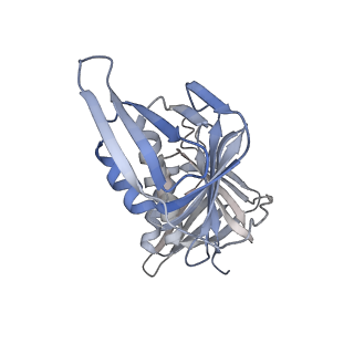 26297_7u19_G_v1-1
RFC:PCNA bound to nicked DNA