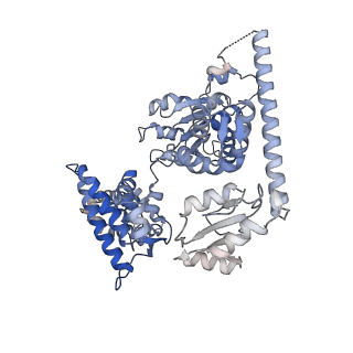 26298_7u1a_A_v1-1
RFC:PCNA bound to dsDNA with a ssDNA gap of six nucleotides