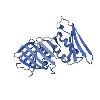 26298_7u1a_F_v1-1
RFC:PCNA bound to dsDNA with a ssDNA gap of six nucleotides