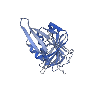 26298_7u1a_G_v1-1
RFC:PCNA bound to dsDNA with a ssDNA gap of six nucleotides