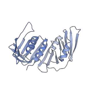26298_7u1a_H_v1-0
RFC:PCNA bound to dsDNA with a ssDNA gap of six nucleotides