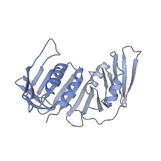 26298_7u1a_H_v1-1
RFC:PCNA bound to dsDNA with a ssDNA gap of six nucleotides