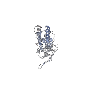 26299_7u1e_A_v1-1
CryoEM structure of the pancreatic ATP-sensitive potassium channel bound to ATP with Kir6.2-CTD in the down conformation