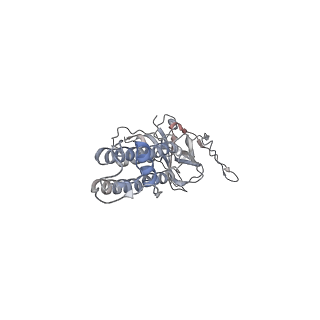 26299_7u1e_B_v1-1
CryoEM structure of the pancreatic ATP-sensitive potassium channel bound to ATP with Kir6.2-CTD in the down conformation