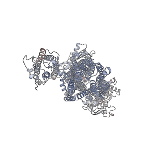 26299_7u1e_E_v1-1
CryoEM structure of the pancreatic ATP-sensitive potassium channel bound to ATP with Kir6.2-CTD in the down conformation