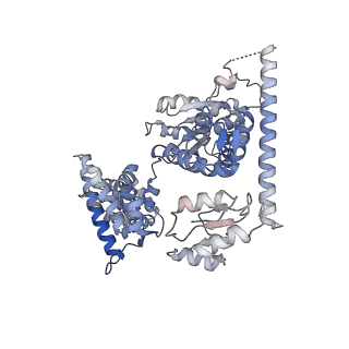 26302_7u1p_A_v1-1
RFC:PCNA bound to DNA with a ssDNA gap of five nucleotides