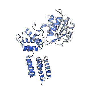 26302_7u1p_C_v1-0
RFC:PCNA bound to DNA with a ssDNA gap of five nucleotides