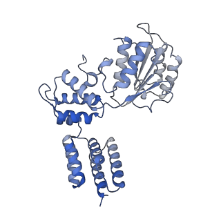 26302_7u1p_C_v1-1
RFC:PCNA bound to DNA with a ssDNA gap of five nucleotides