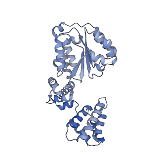 26302_7u1p_D_v1-0
RFC:PCNA bound to DNA with a ssDNA gap of five nucleotides