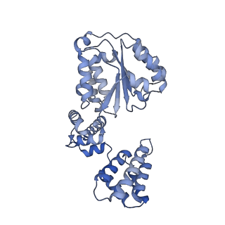 26302_7u1p_D_v1-1
RFC:PCNA bound to DNA with a ssDNA gap of five nucleotides