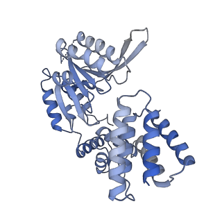 26302_7u1p_E_v1-0
RFC:PCNA bound to DNA with a ssDNA gap of five nucleotides